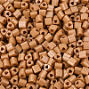 FGB Baking Paint Glass Seed Beads SEED-Q040-09A-06-3