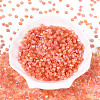 Imitation Cat Eye Glass Seed Beads SEED-N007-31C-2