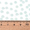 Transparent Glass Seed Beads SEED-Q041-01K-4