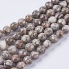 Natural Maifanite/Maifan Stone Beads Strands X-G-I187-6mm-01-2