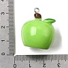 Opaque Resin Pendants RESI-B040-01A-3