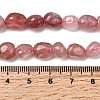 Natural Strawberry Quartz Beads Strands G-P601-A08-02-5