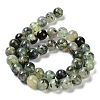 Natural Prehnite Beads Strands G-G457-10mm-03-6