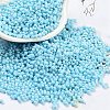 Baking Paint Glass Seed Beads SEED-A033-05P-1