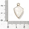 Natural Howlite Pendants G-K422-01G-09-3