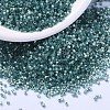 MIYUKI Delica Beads SEED-MY11-DB1870-1