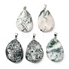 Natural Tree Agate Pendants GG-K002-05J-1