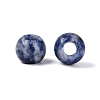 Natural Blue Spot Jasper European Beads G-Q602-09A-09-2