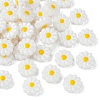 Opaque Resin Beads RESI-CJC0011-45-1