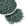 6/0 Transparent Inside Colours Glass Seed Beads SEED-N008-08D-1
