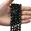 Natural Bloodstone/Heliotrope Beads Strands G-Z119-A16-03-2