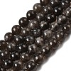 Natural Smoky Quartz Beads Strands G-B167-A09-10mm-2