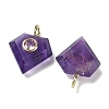 Natural Amethyst Faceted Pendants G-F819-03G-04-2