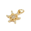 Brass Micro Pave Cubic Zirconia Charms LS-KK-H077-02G-04-2