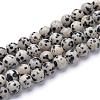 Natural Dalmatian Jasper Bead Strands G-R345-6mm-51-1