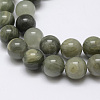 Natural Green Rutilated Quartz Beads Strands X-G-P325-03-8mm-1