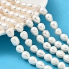 Natural Cultured Freshwater Pearl Beads Strands PEAR-I007-01E-03A-1