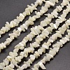 Natural White Mother of Pearl Shell Chip Bead Strands G-M205-63-1