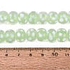 Handmade Lampwork Beads Strands LAMP-N037-05D-4