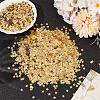 100G PET Paillette/Sequins Pendants KY-CY0001-24A-4