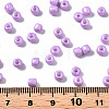 6/0 Glass Seed Beads SEED-S058-A-F411-4
