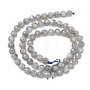 Natural Labradorite Beads Strands G-L642-F07-6mm-3