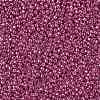 TOHO Round Seed Beads SEED-JPTR11-PF0563-2