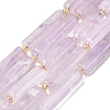 Natural Amethyst Beads Strands G-D353-A16-02-2