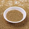 MIYUKI Round Rocailles Beads X-SEED-G007-RR4203-2