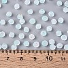 Frosted Glass Seed Beads SEED-N012-01C-4