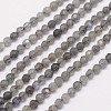 Faceted Round Natural Labradorite Bead Strands LS-G-I156-03-4mm-1