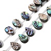 Natural Abalone Shell Paua Shell Beads Strands SH-CBA69D1-02-1