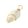 Natural Spiral Shell Pendants PALLOY-JF02792-01-4