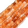 Natural Agate Beads Strands G-Z144-A02-01F-2