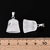 Natural Quartz Crystal Pendants G-N349-15P-08-4