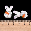Handmade Lampwork Beads LAMP-T029-03-3