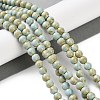 Natural Rainbow Alashan Agate Beads Strands G-NH0022-A01-01-2