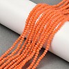 Opaque Solid Color Glass Bead Strands GLAA-F078-A03-5