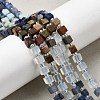 Opalite & Synthetic Turquoise & Natural Dyed White Jade & Howlite & Shoushan Stone & Sodalite Beads Strands G-H333-03E-1
