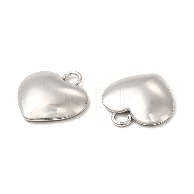 304 Stainless Steel Charms STAS-A070-30P-1