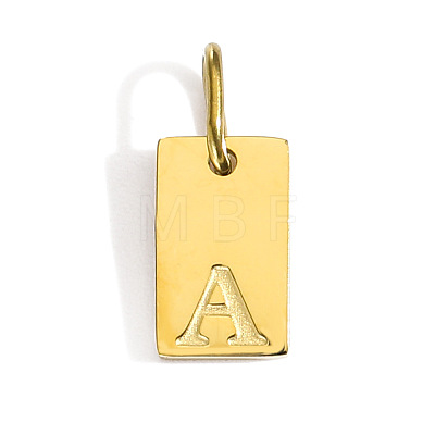 304 Stainless Steel Pendants STAS-Z143-01G-A-1