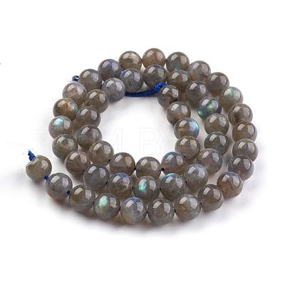 Grade AA Natural Gemstone Labradorite Round Beads Strands G-E251-33-8mm-1