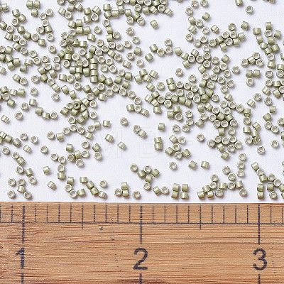 MIYUKI Delica Beads X-SEED-J020-DB1181-1