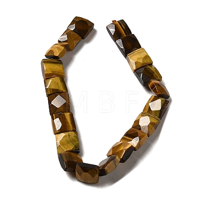Natural Tiger Eye Beads Strands G-C109-A07-01-1