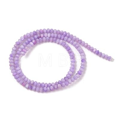 Natural Freshwater Shell Dyed Beads Strands SHEL-R100-13A-01-1