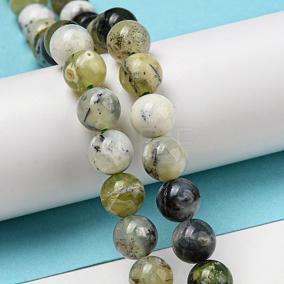 Natural Green Opal Beads Strands G-R494-A11-03-1