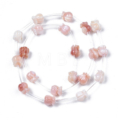 Natural Pink Shell Beads Strands SSHEL-S278-127-1