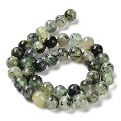 Natural Prehnite Beads Strands G-G457-10mm-03-1