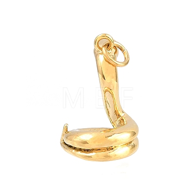 Brass Pendants KK-CBA855A-01G-06-1