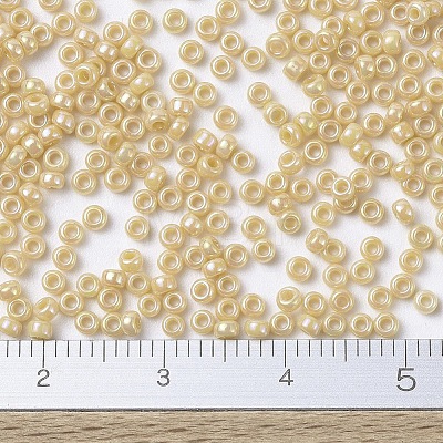 MIYUKI Round Rocailles Beads SEED-G007-RR0488-1